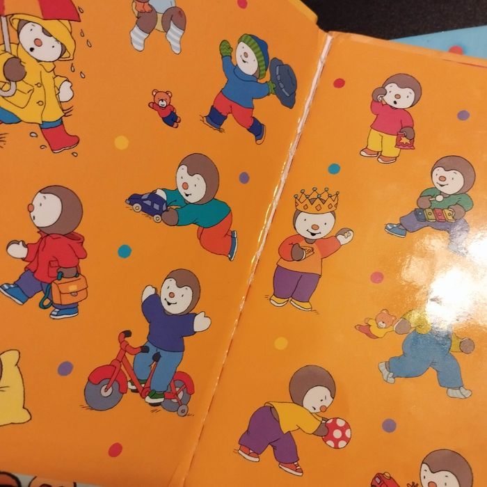 Livre enfant Nathan T'choupi fait des bêtises - photo numéro 3