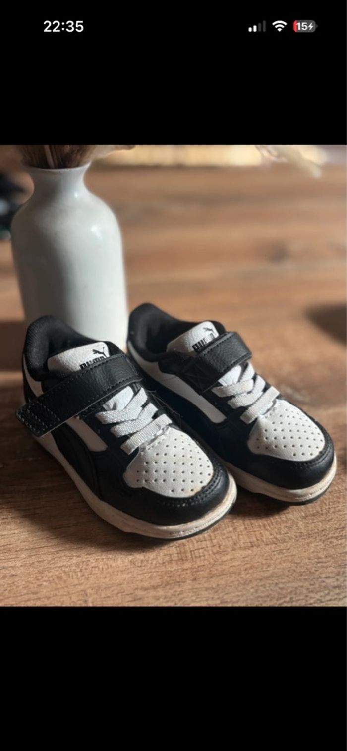 Puma bébé - photo numéro 3