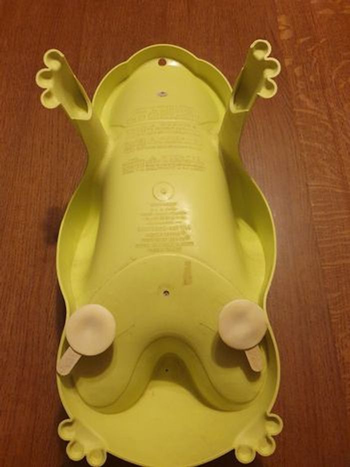 Grenouille - photo numéro 2