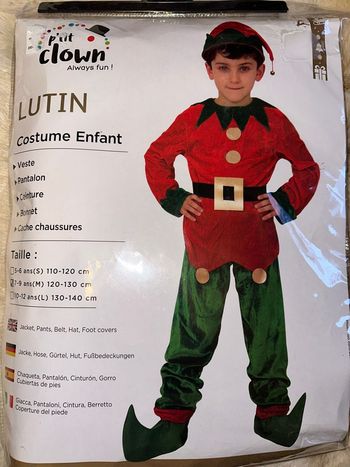  Costume lutin