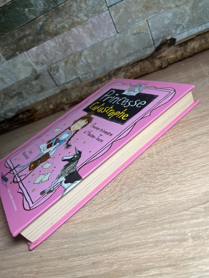 Livre Princesse Catastrophe - photo numéro 3
