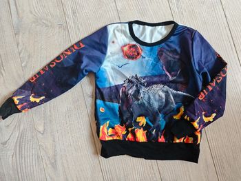Tshirt manches longues 4 ans dinosaures