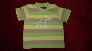 Tee-shirt manches courtes rayé vert et marron 3 mois garçon Tout Compte Fait