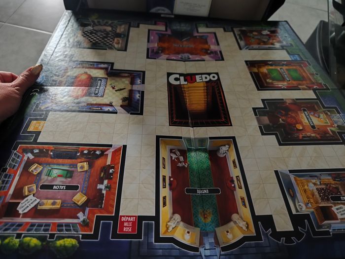Jeux de société - photo numéro 4