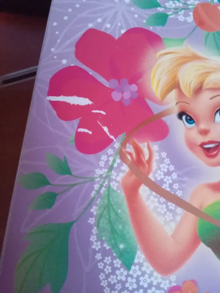 Classeur souple clochette - photo numéro 2