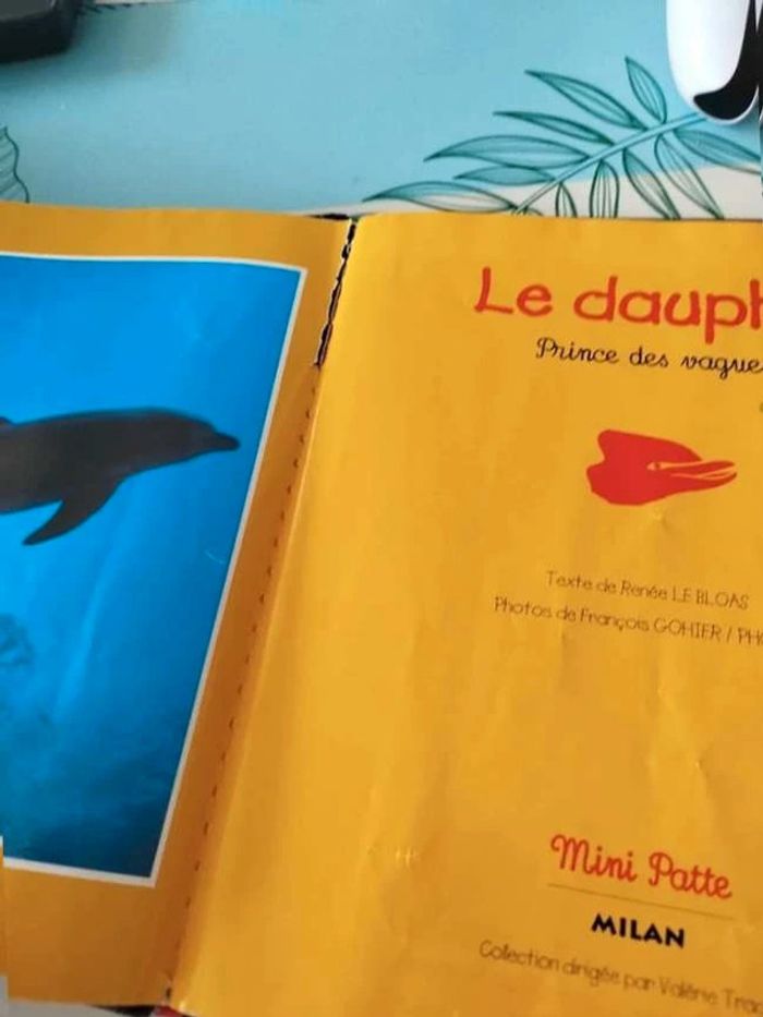 Le dauphin - photo numéro 3