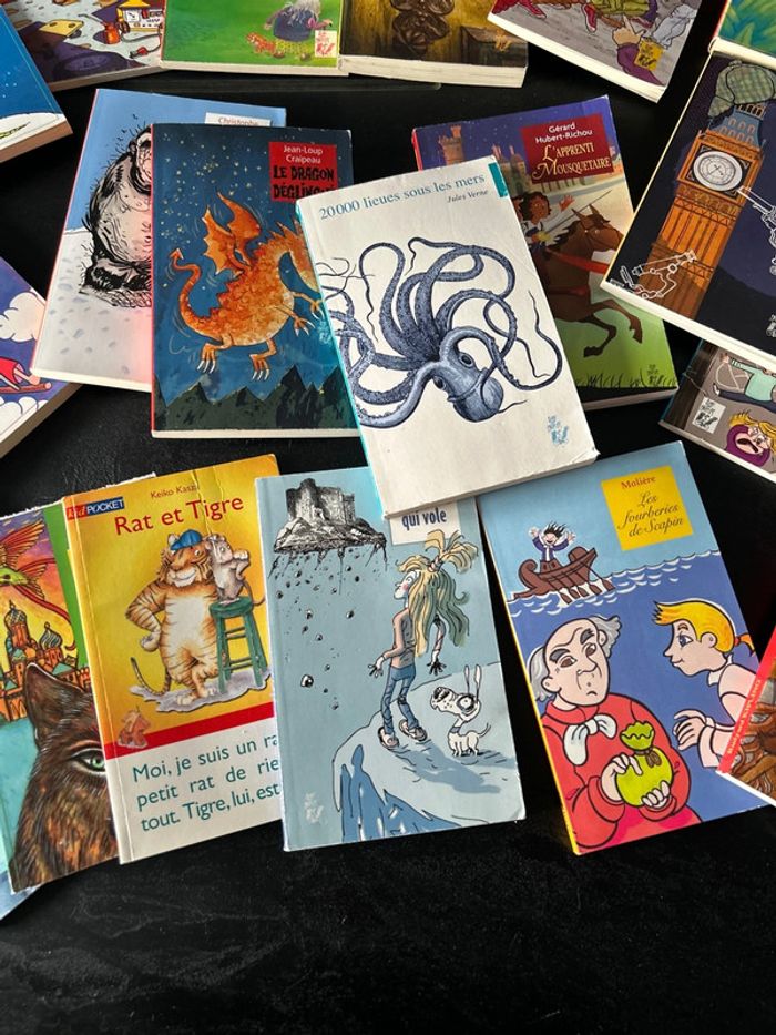 Lot de livres - photo numéro 5