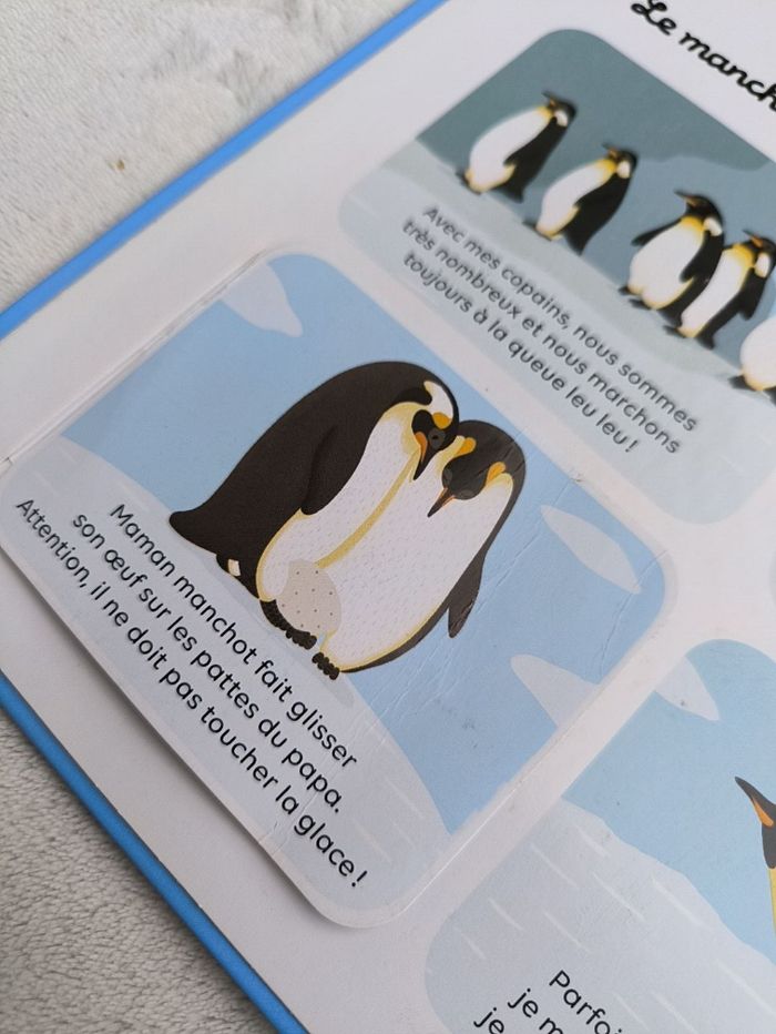 Livre Les animaux du froid Milan - photo numéro 7