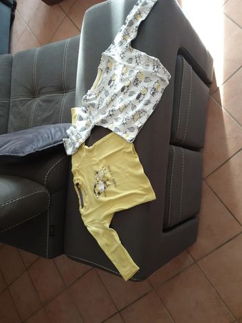 2 tee-shirt manches longues 6 mois