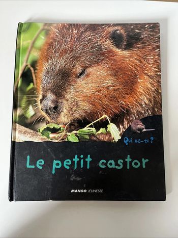 Livre Le Petit Castor - Qui Es Tu ? Mango Jeunesse - Christian Marie