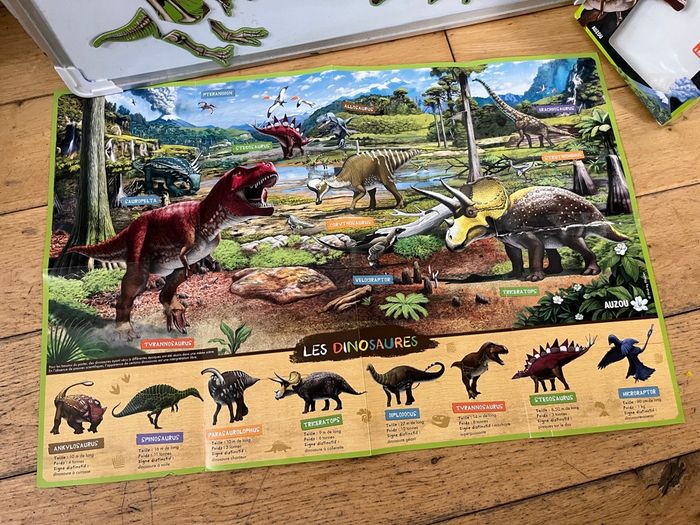 Ma pochettes Aimants et poster Dinosaures 35 aimants - photo numéro 7