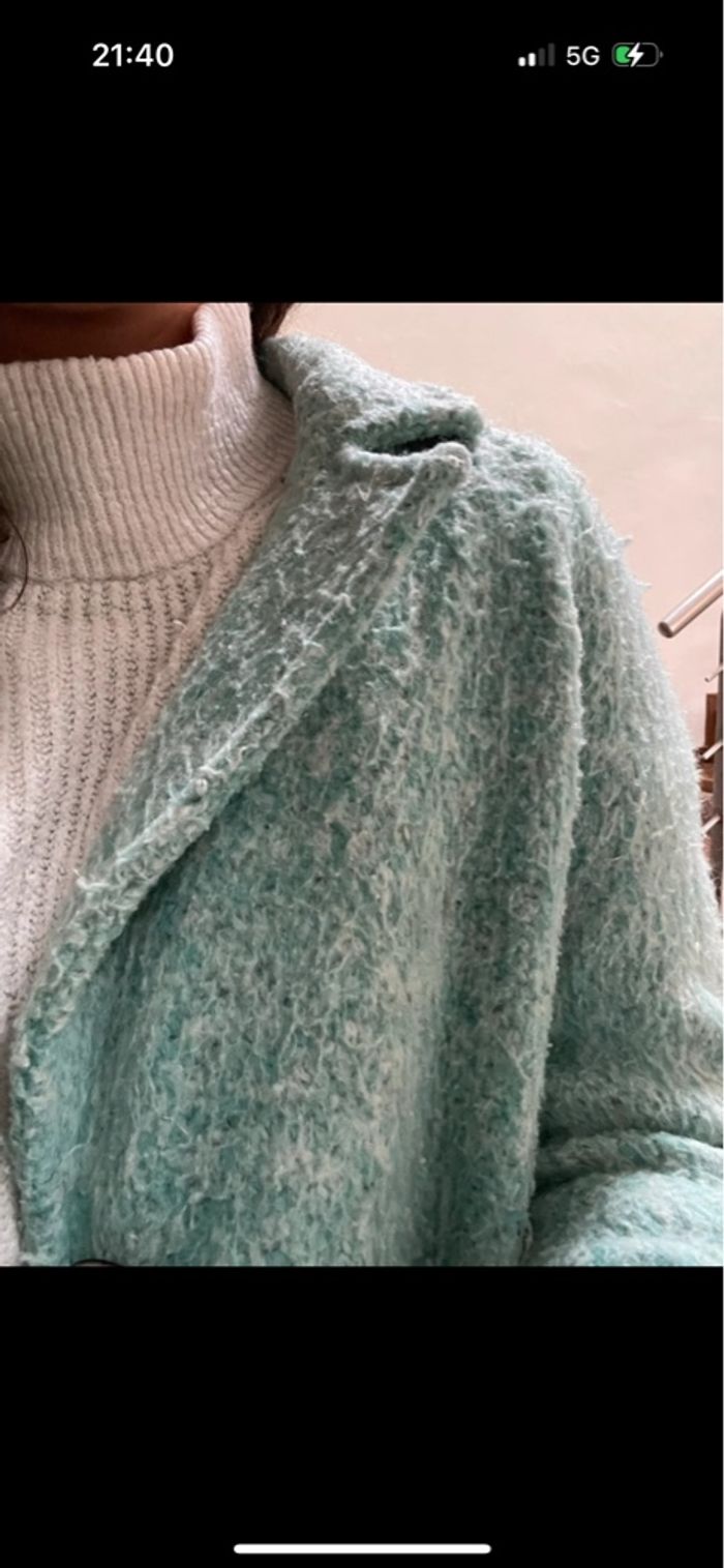 Manteau Zara - photo numéro 2