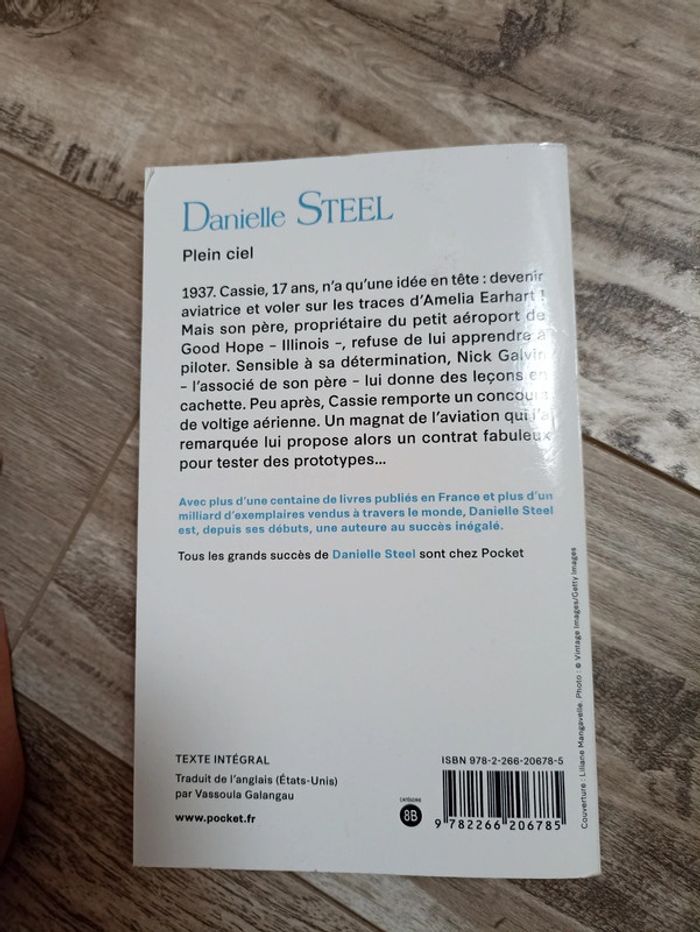 Livre plein ciel Danielle Steel - photo numéro 2
