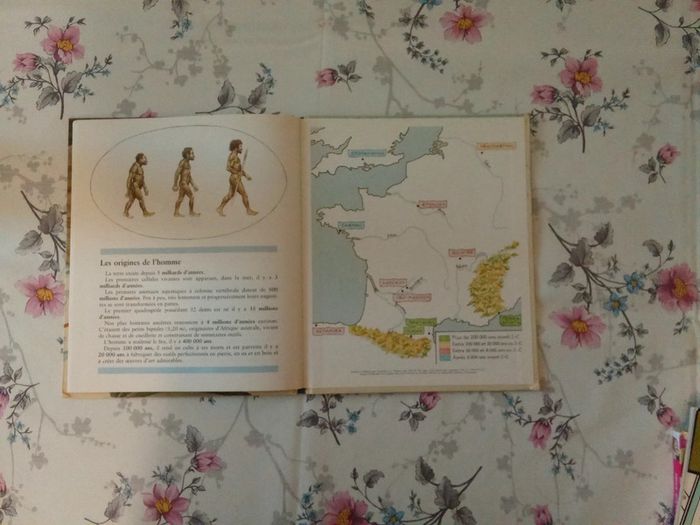 Au temps des cavernes - Préhistoire - photo numéro 11