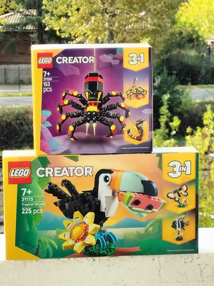 Lego creator le toucan tropical et l'araignée surprenante