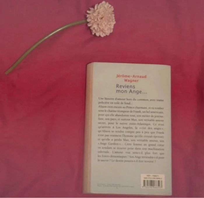 Reviens mon ange livre