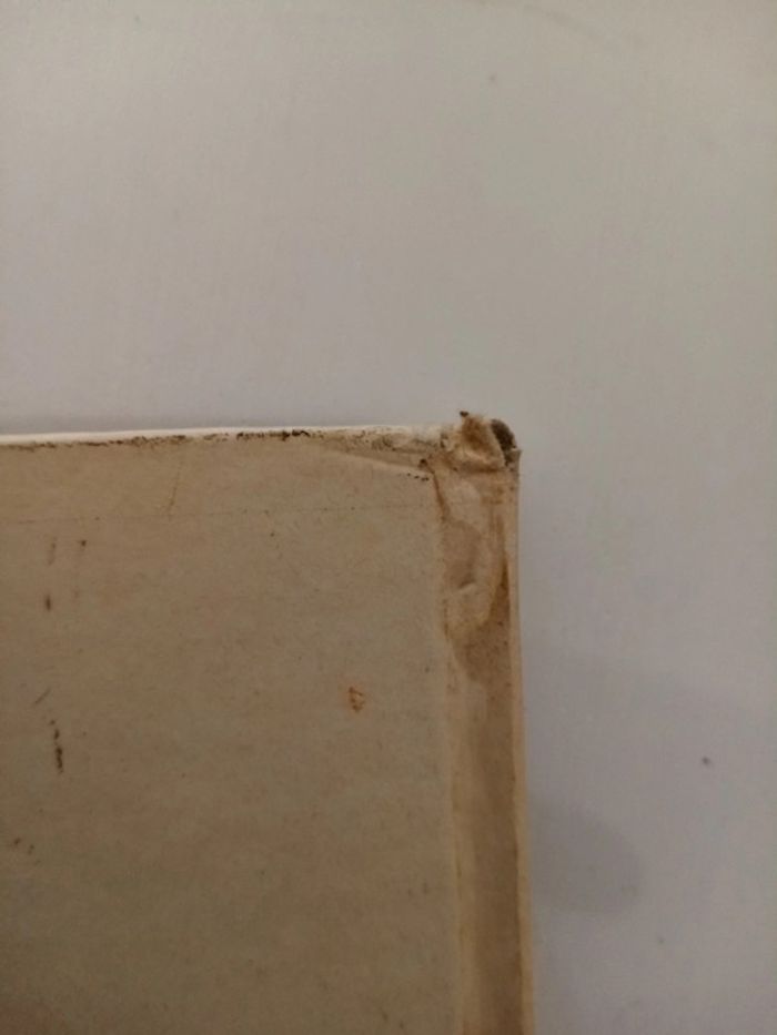 Tiriel héritier d'un monde - photo numéro 7