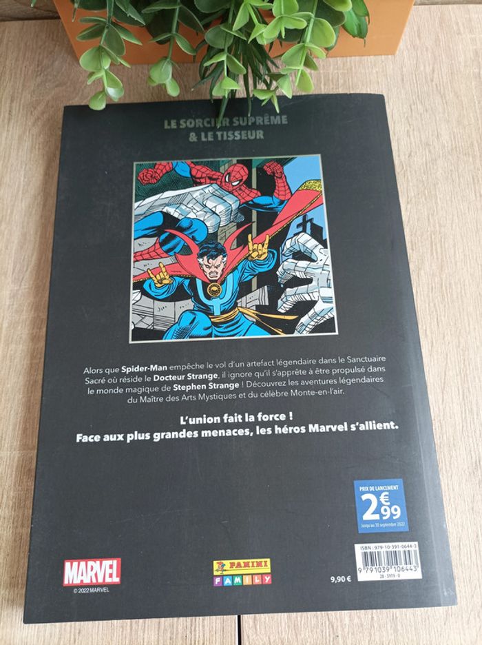 Comics Album Marvel Doctor Strange & Spider-Man Panini - photo numéro 7