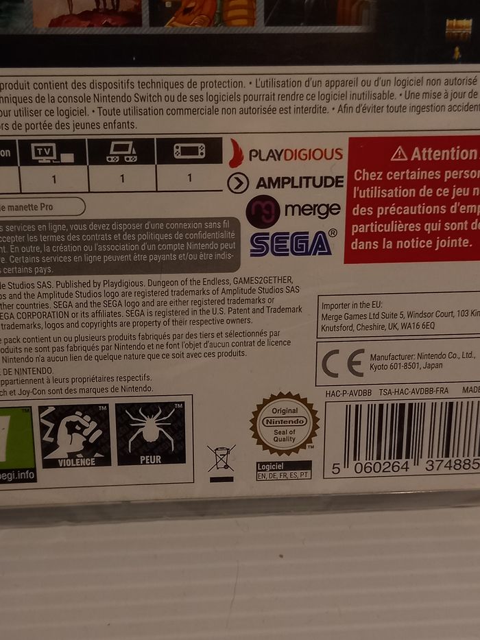 Switch dungeon endless - photo numéro 4