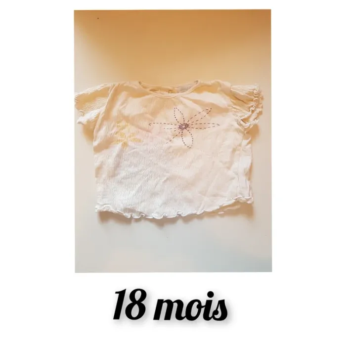 T Shirt 🔄
