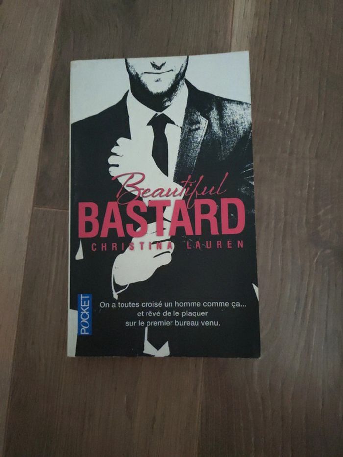Lot de 2 livres bastard et dirty rowdy thing - photo numéro 2