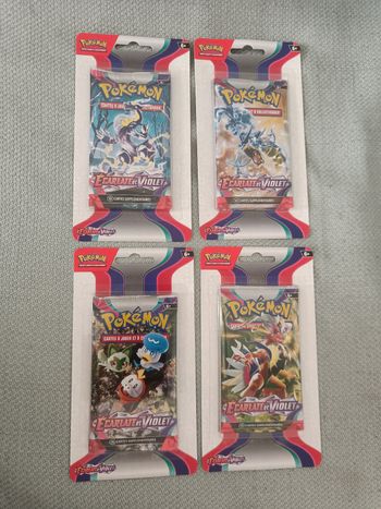 Art Set Écarlate et violet EV01