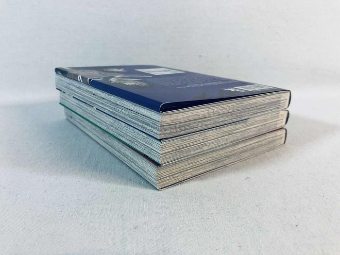 Lot Le Fossoyeur Tome 1 à 3 Mangas FR Très bon état - photo numéro 4