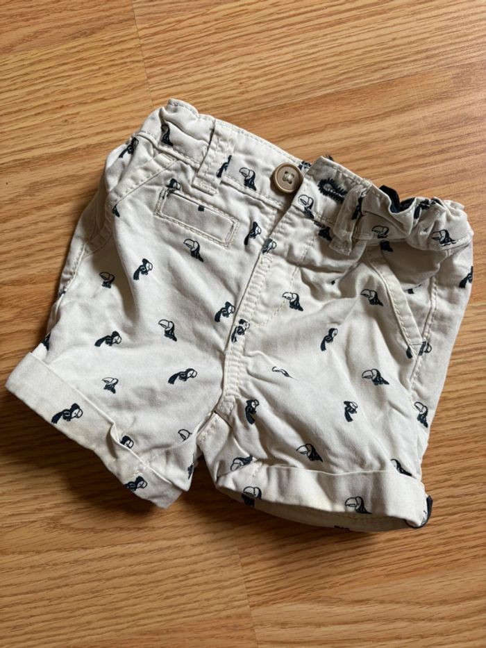 Short perroquet