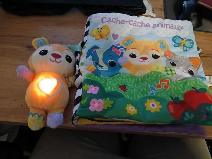 GRAND LIVRE TOUDOUX DES DECOUVERTES VTECH - photo numéro 2