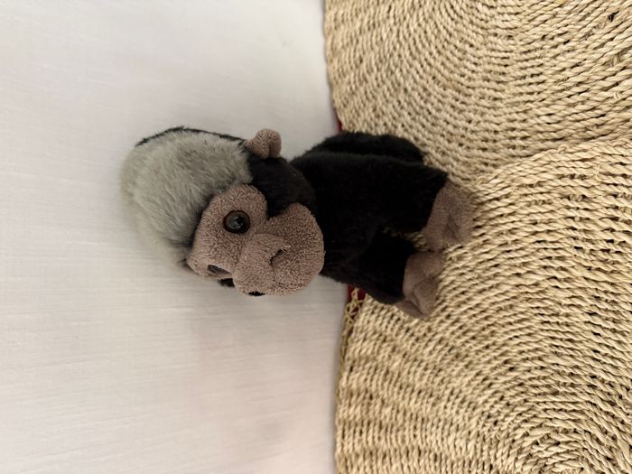 doudou Gorille dos argenté, singe primate doudi - photo numéro 1