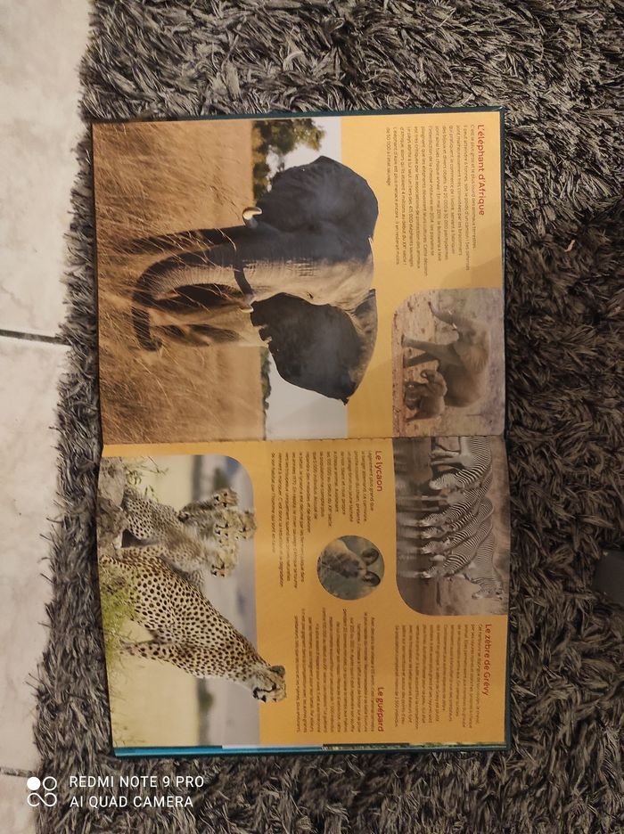 Livre les animaux en danger - photo numéro 3