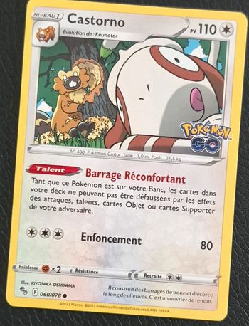 Castorno Pokémon Go