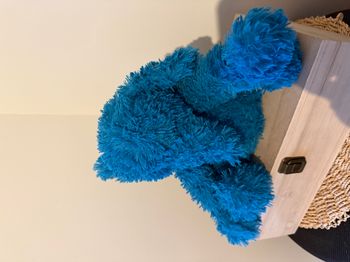 WARMIES BOUILLOTTE ELEPHANT