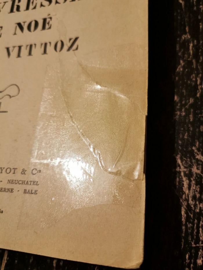 L'Ivresse de Noé. René Vittoz - photo numéro 6