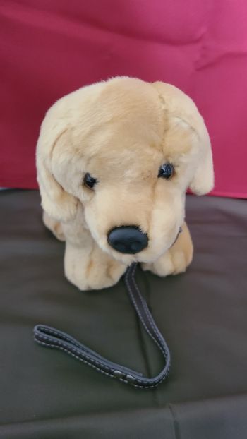 peluche chiot labrador ami plush