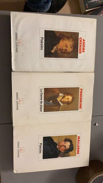 Lot 3 livres Grands écrivains