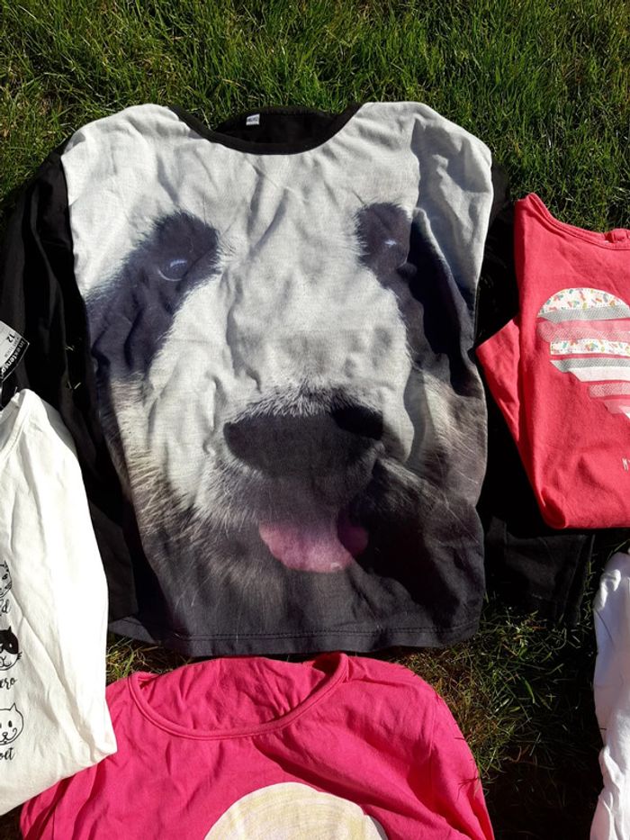 Lot tshirt manche longue 12 ans - photo numéro 5