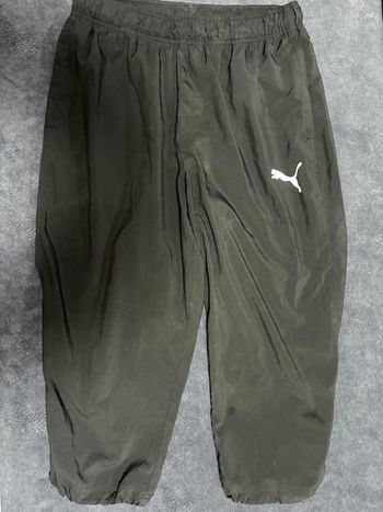 Pantacourt puma