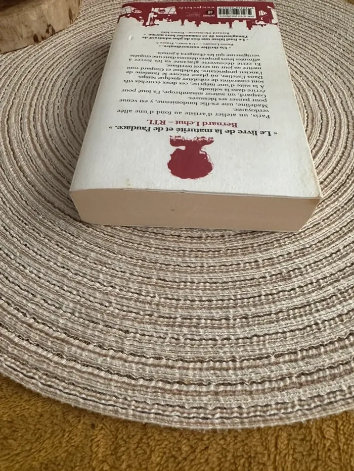 Livre Un appartement à Paris - photo numéro 4