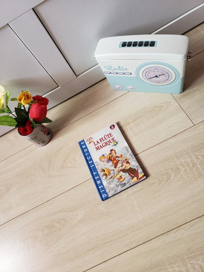 Livre 📖 Tic et Tac : La flute magique 2€