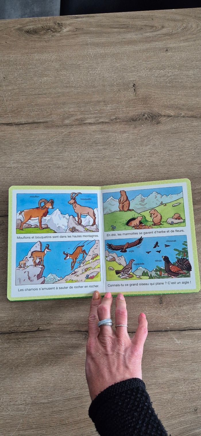 L'imagerie des tout-petits : La montagne - photo numéro 6