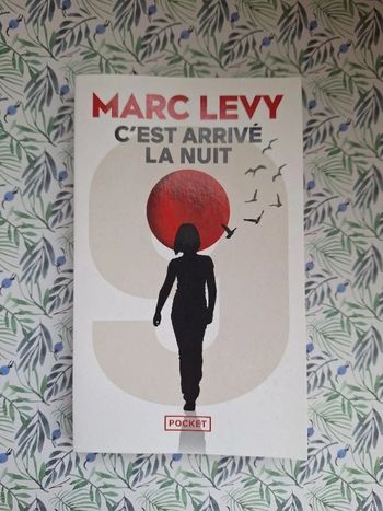 Roman "c'est arrivé la nuit" de Marc Levy