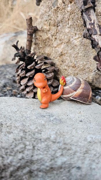 Super figurine Pokemon salameche