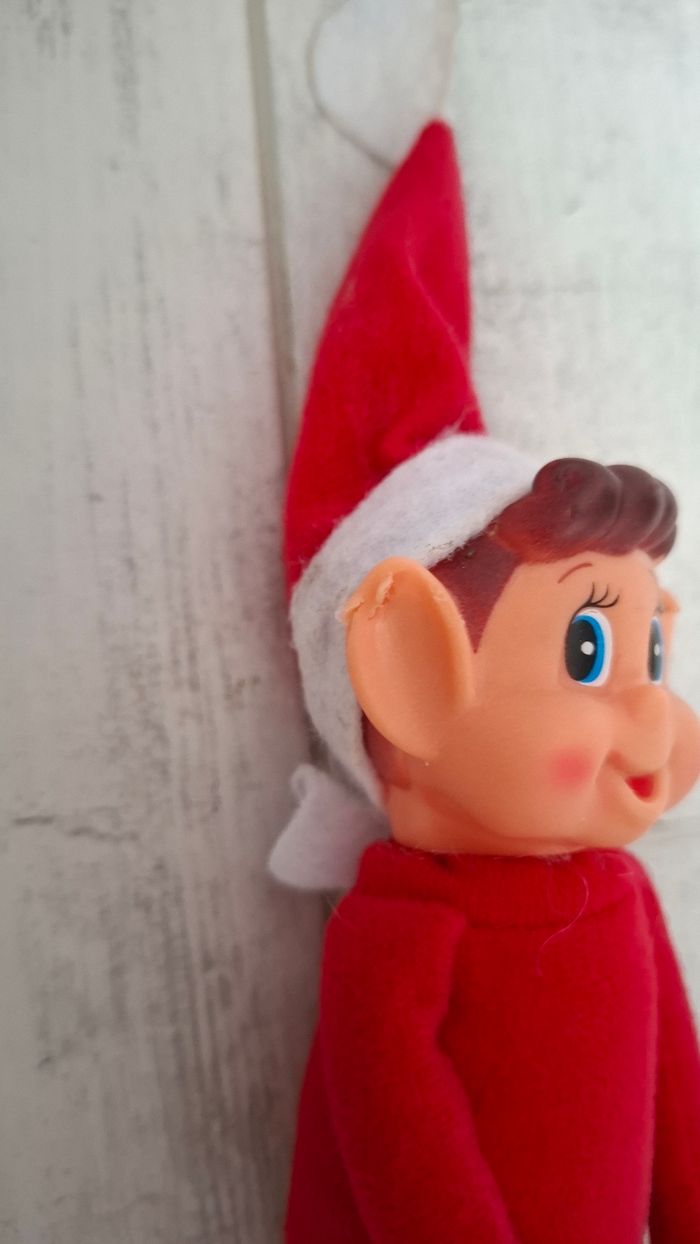 lutins farceur - photo numéro 2