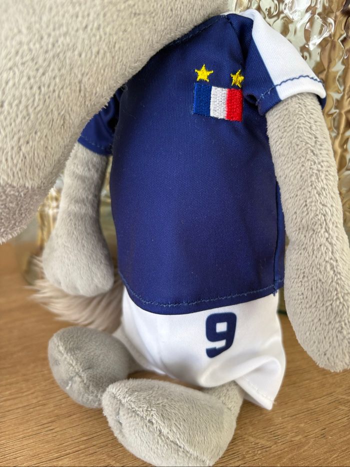 Louve football numéro 9 - photo numéro 3