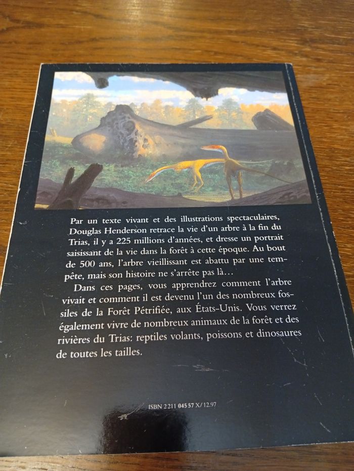 L'arbre aux dinosaures - photo numéro 2