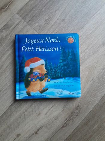 Livre Joyeux Noël petit Hérisson ! 💢livre qui scintille