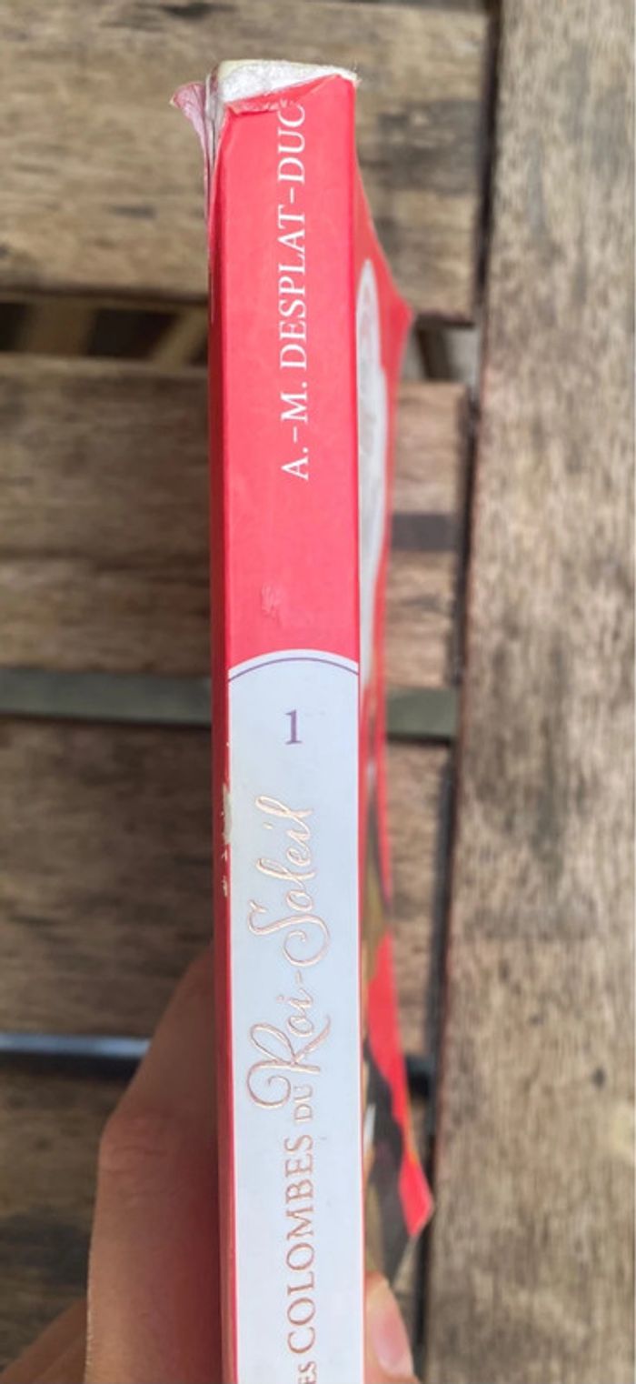 Les colombes du roi soleil, tome 1 - photo numéro 3