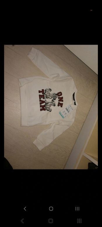 Pull col rond