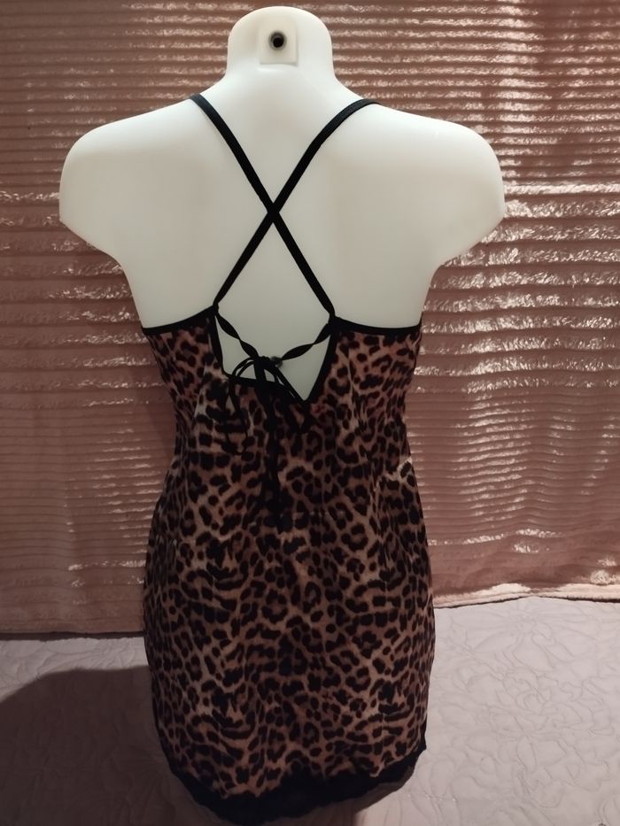 Nuisette Léopard - photo numéro 5